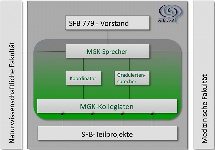 Graduiertenkolleg Management-Struktur
